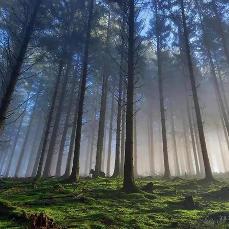 بيت للعطل Comfortable Villa, *