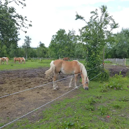 Vakantiehuis Comfortable Villa,